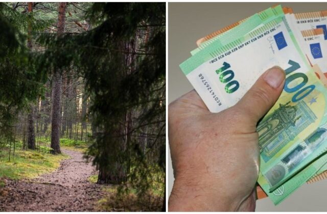Keturračių vairuotojams – nemaloni staigmena miške: vienas pažeidimas gali kainuoti iki 300 eurų