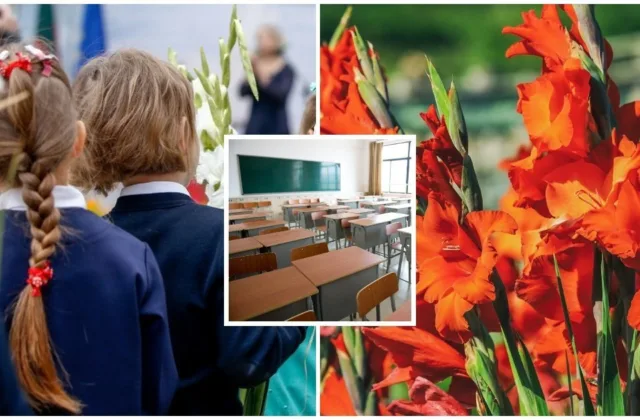 Kardeliai Rugsėjo 1-ąją sukėlė ginčą: specialistai paaiškino, kas iš tiesų slypi už šios tradicijos