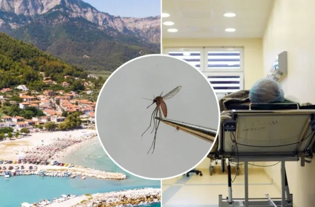Europoje sparčiai daugėja Vakarų Nilo karštligės atvejų: virusas jau fiksuojamas devyniose šalyse