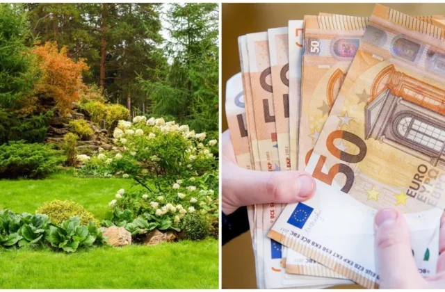 Rudens darbai kieme gali baigtis bauda: kada už žaliųjų atliekų deginimą gresia iki 300 eurų
