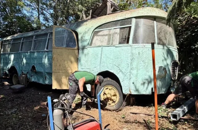 Manyta, kad jų neliko nė vieno: miške ir prie ežero netikėtai rasti du reti autobusai