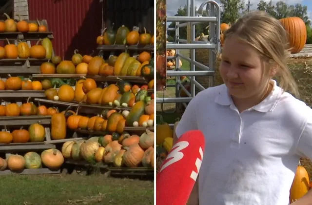 Pakaunėje prasidėjo moliūgų sezonas: lankytojų laukia pasakos, žaidimai ir net moliūgų SPA