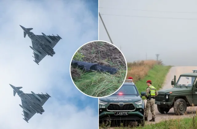 Droną numušė NATO naikintuvai: ekspertai nesutaria, ar milijonas eurų buvo neišvengiama kaina