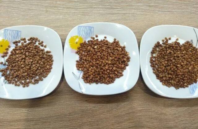 Net grikiai gali būti pavojingi – jei jie kiniški. Bet kaip juos atskirti?